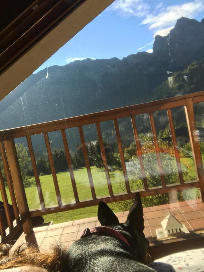 Ferienwohnung App G&G Sagron Mis Exterior foto